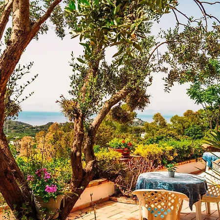 Pool Appartament Apartment Forio (Isola d'Ischia)